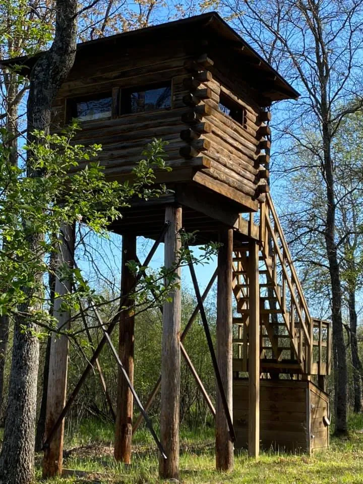 Elevated blind